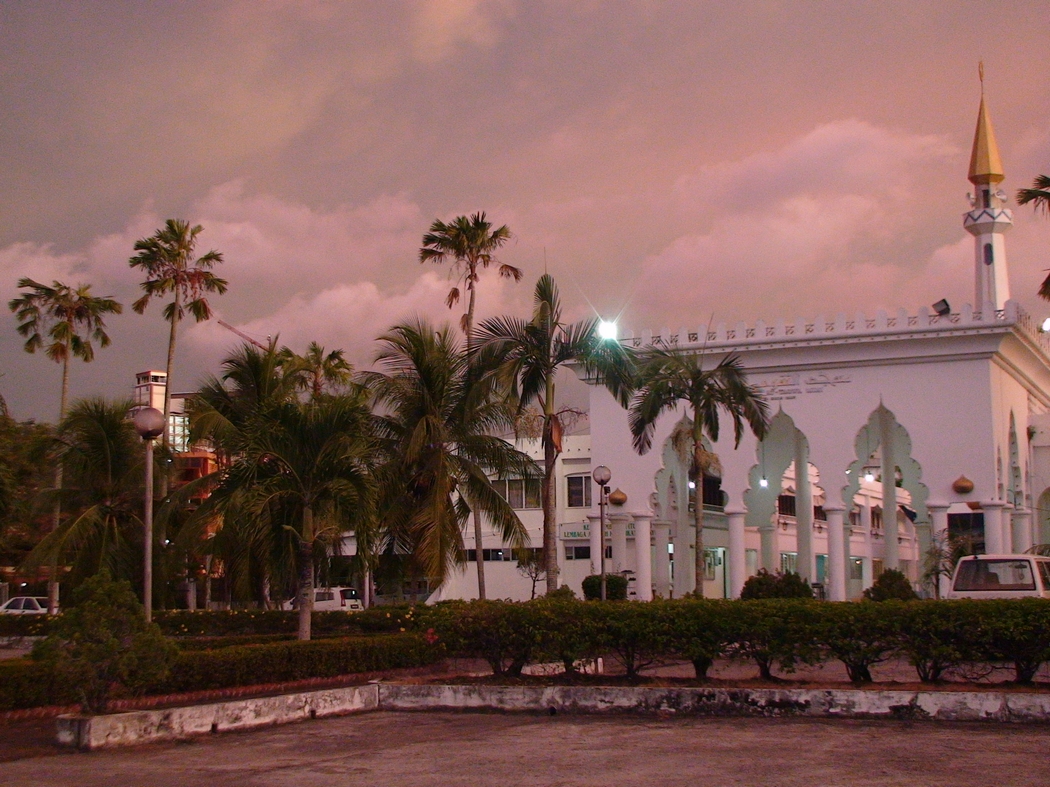 Borneo1 (94).JPG